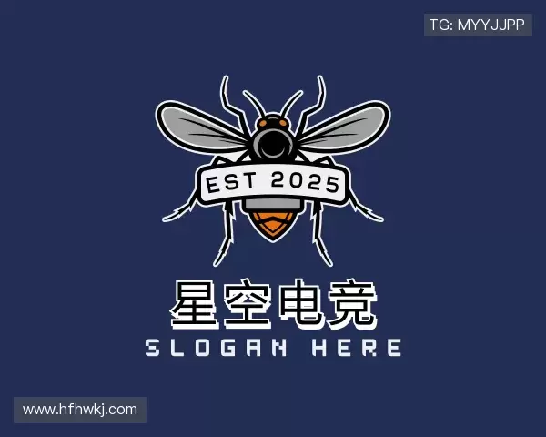 认识星空电竞